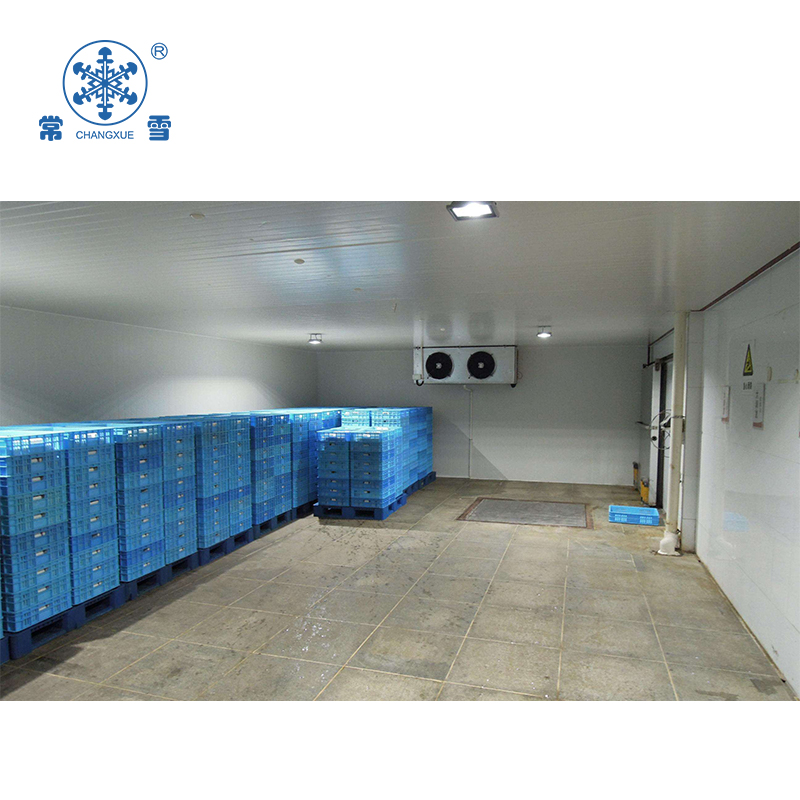 100CBM Cold Room for Fruit And Vegetable 